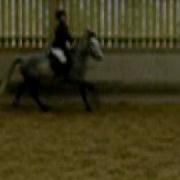 P1010251 MOV