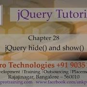 JQuery 28 Animation Part 4 How To Hide And Show Elements In Jquery