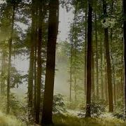 Avicii Feeling Good 432 Hz
