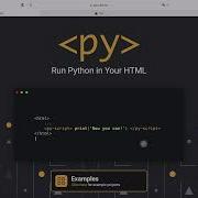 Embed Python Scripts In HTML With PyScript