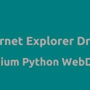 Internet Explorer Driver Using Selenium 2 Python