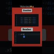 Junior Vs Senior Developer Css Coding