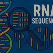 Секвенирование РНК RNA Seq Транскриптомная анимация для экзаменов CSIR NET и естественных наук