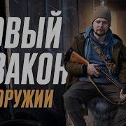 Новый закон об оружии критика и предложения Каким должен стать новый ФЗ 150