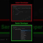 Junior Vs Senior Developer Programming Html Javascript Webdevelopment Html5 Webdesign Css3