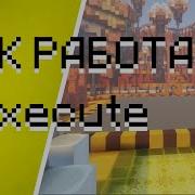 Execute От овоща к датапакеру