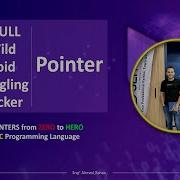 Null Wild Void Dangling Hacker Pointer
