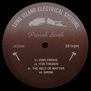 PARRISH SMITH THE SELF OF MATTER 2017