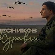 Олег Колесников Журавли Single 2026