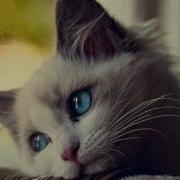 Broken Seether Instrumental