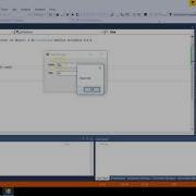 Visual Basic Tutorial Name Age App