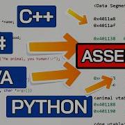 Object Oriented Programming In Assembly Explained Vtables Polymorphism Python Java C C