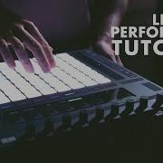 Max Wild Push 2 Performance Walkthrough