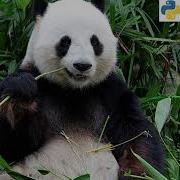 Python Pandas DataFrame Tutorials