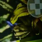 SmartSurface Wall SmartWall Demo Multitouch