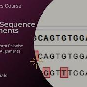 Pairwise Sequence Alignment Bioedit EMBL MEGA X