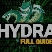 Hydra Full Guide 30 Min You Ll Never Ask About Hydra Again