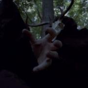 Skeletonwitch Sacrifice To The Slaughtergod Director S Cut