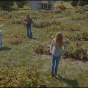 In The Garden THE BAND FEEL Official Music Video
