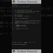 Как проверить состояние флажка с помощью Selenium Учебное пособие по Python