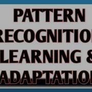 PATTERN RECOGNITION Learning Adaptation In Pattern Recognition Unit I AKTU Introduction To PR