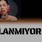 Big5 Color Coded Lyrics Uslanmıyor Bu Besti Aydeniz