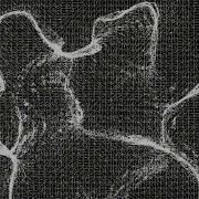 Openframeworks Flow Field