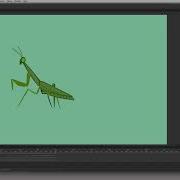 Edit Multiple Frames