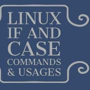 Linux Shell Script If Case Command Execution And Usage Theory