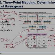 Chapter 5 3 Three Point Mapping