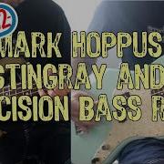 Mark Hoppus Stingray And Precision Bass Riffs