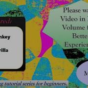 What Is Random Testing What Is Monkey Testing What Is Gorilla Testing Manual Testing Tutorials
