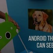 Android Things Can Serve Up M M Candies And Recognize Dogs