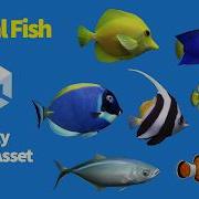 Coral Fish Pack 7 Unity Game Asset