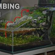 Making A Waterfall For My Climbing Fish Two Sided Ecosystem