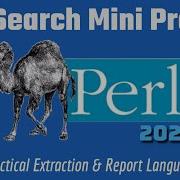 Perl Programming Project Search Files Docx JPG Txt 2024