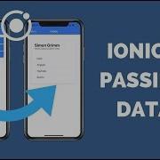 How To Pass Data With Angular Router In Ionic 4