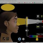 PhET Color Vision Overview