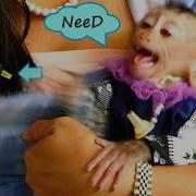 Xtremely Need Multi Vit N0 Need Milk Princess Haya Screaminq L0ud When Pull Multi Vit Out