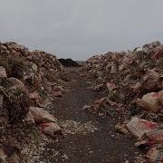 What Happens After All The Yard Waste Is Collected