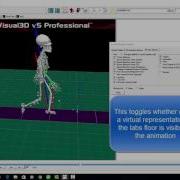 Visual3D View Options Demonstration