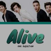 ONE DIRECTION ALIVE Lyrics Color Coded