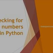 Code For Checking The Prime Number Python Programming Lesson 11 Undergrad Academy