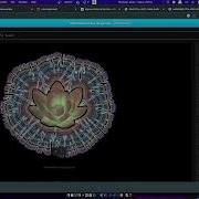 2D Expansion Using SDF Houdini Tutorial