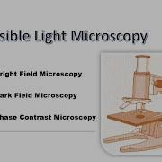 Light Microscopy