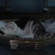 Как играть в Fable 3 на ПК в 2018 году с DLC