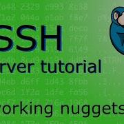 Secure Shell Ssh Tutorial Installing And Using Ssh Setting Up Ssh Keys On The Server