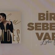 Ebru Gündeş Bir Sebebi Var Lyric Video