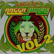 RAGGA JUNGLE IS MASSIVE VOL 2 MIXED BY DJ STP