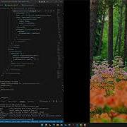 Flutter Wireless Debugging